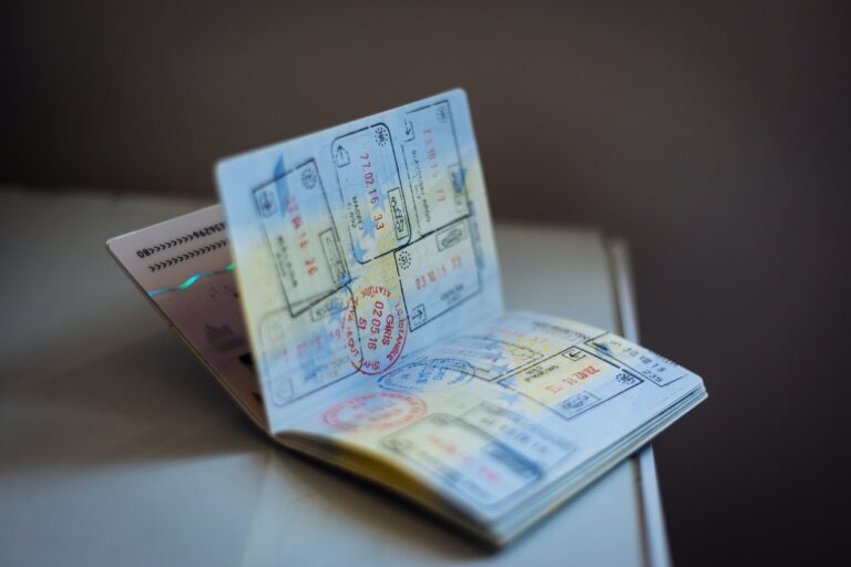 visa stamps